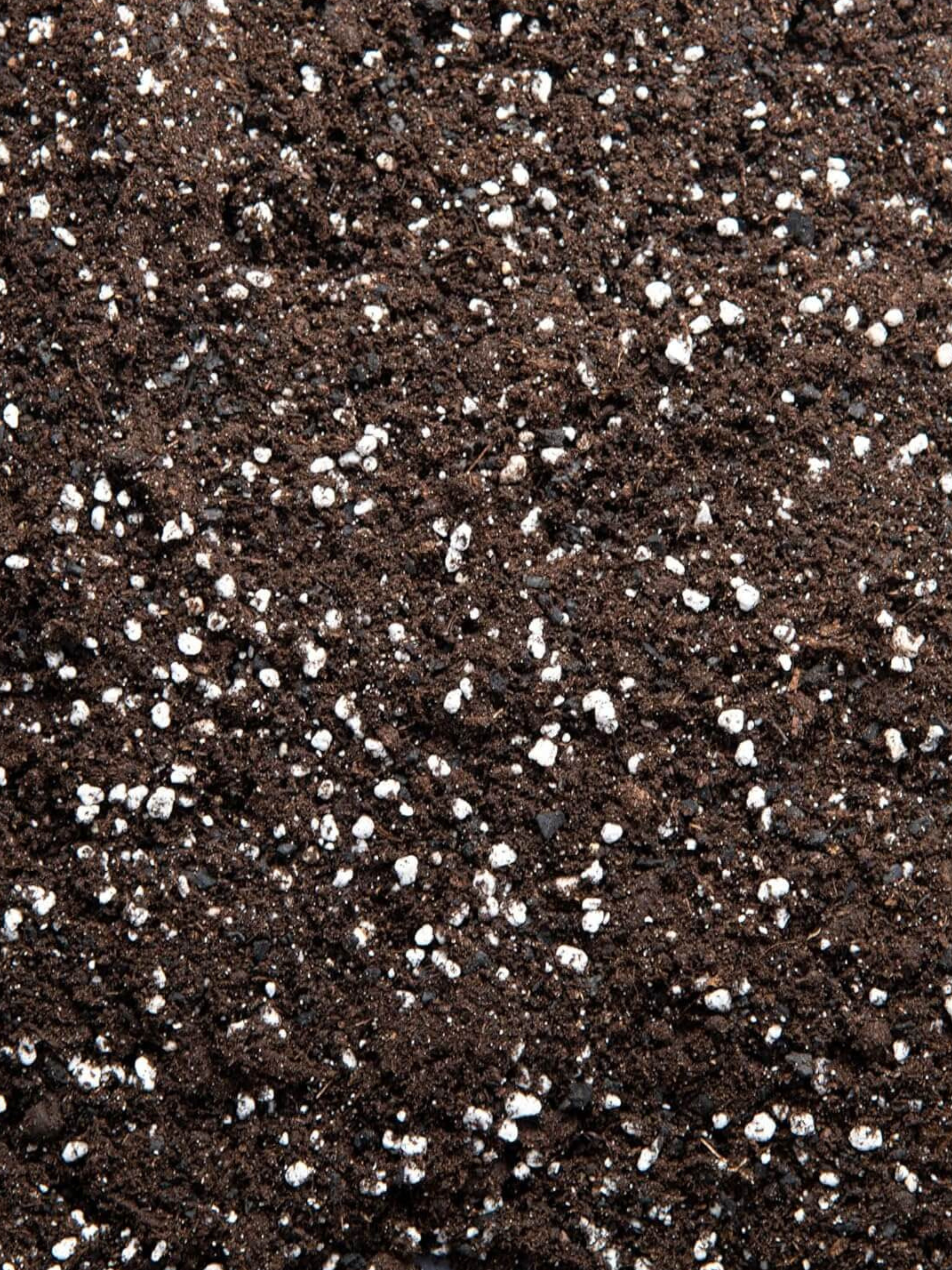 Premium Houseplant Potting Mix, Multi-Purpose Soil