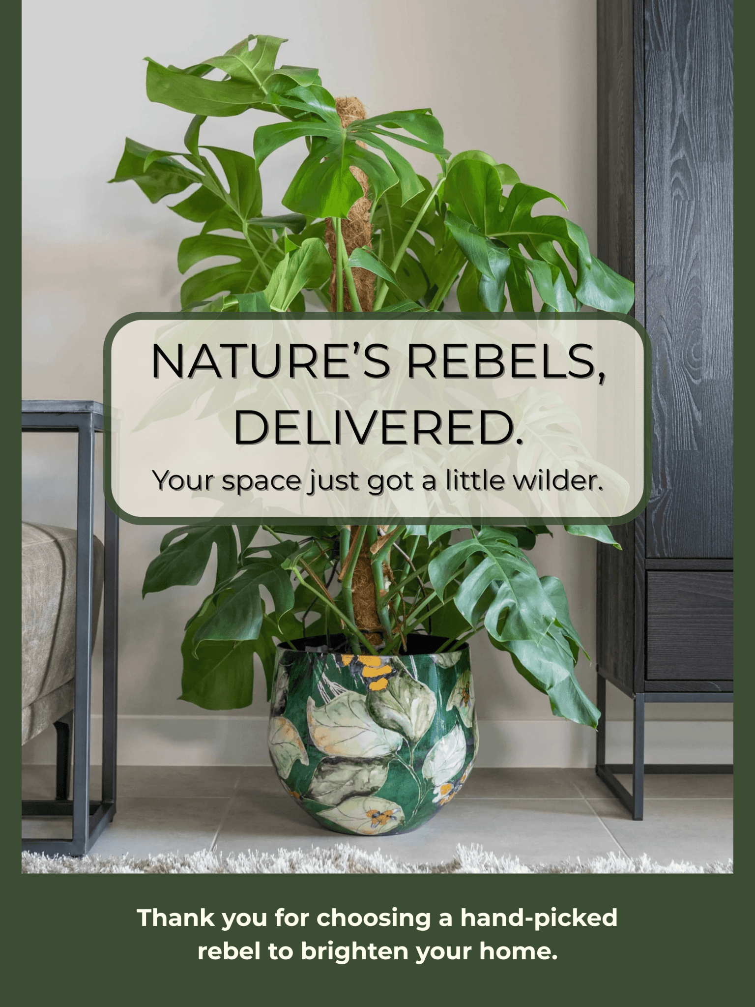rebelplants.co.uk