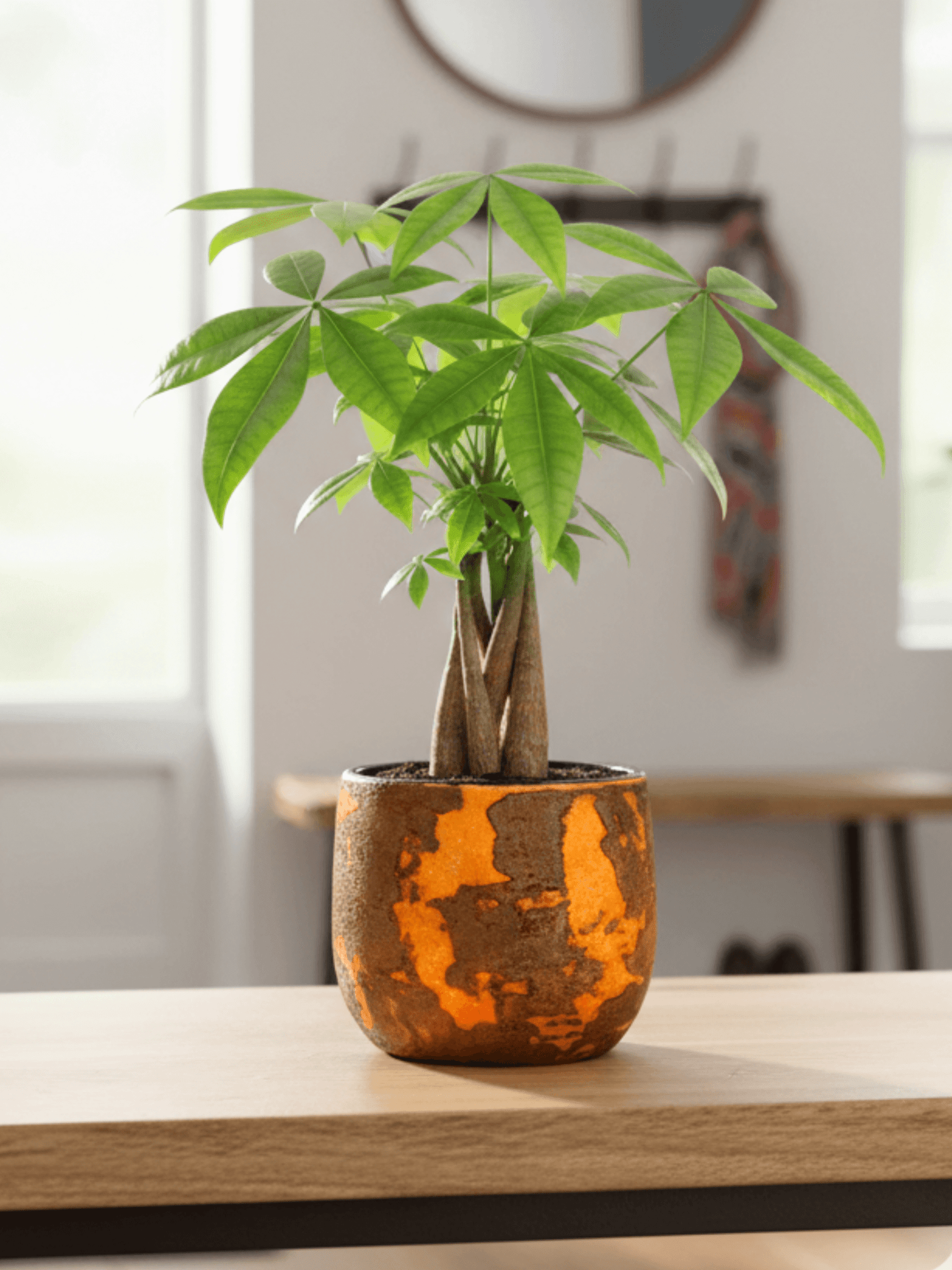 Olaf_Plant_Pot_Rust_Round_Multiple_Sizes