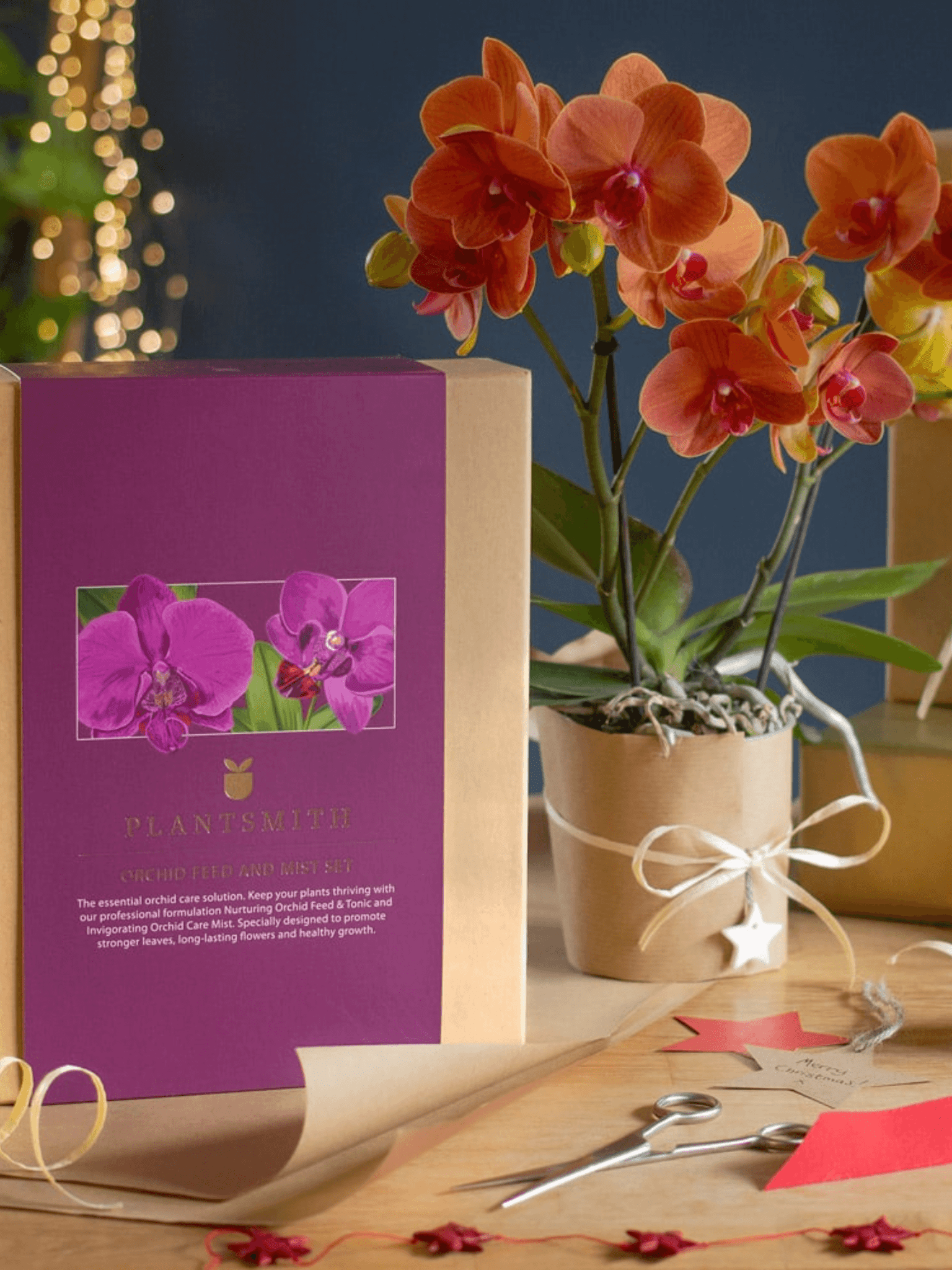 Orchid Feed & Mist Care Gift Set
