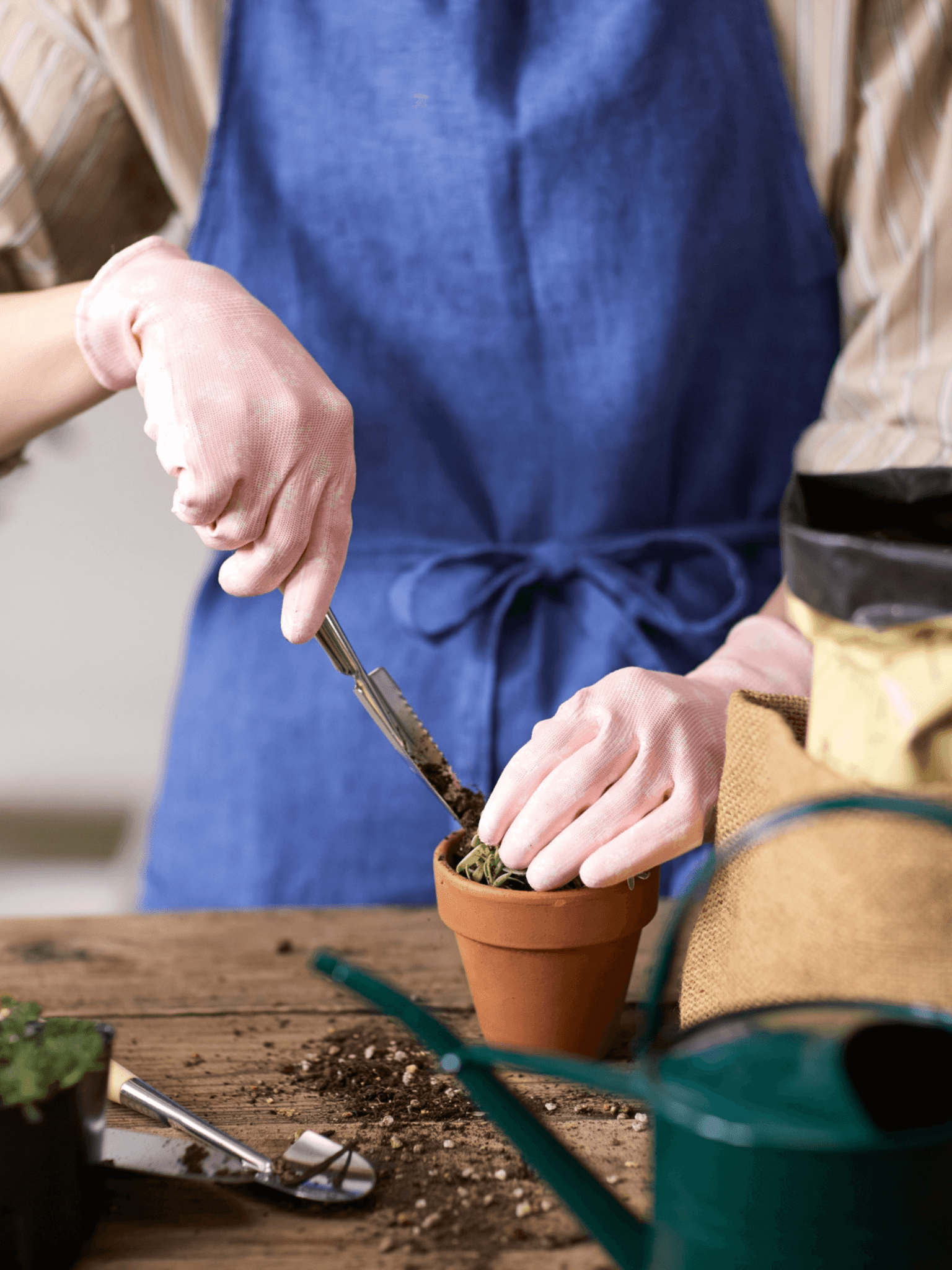 Perlite - Rebel Plants