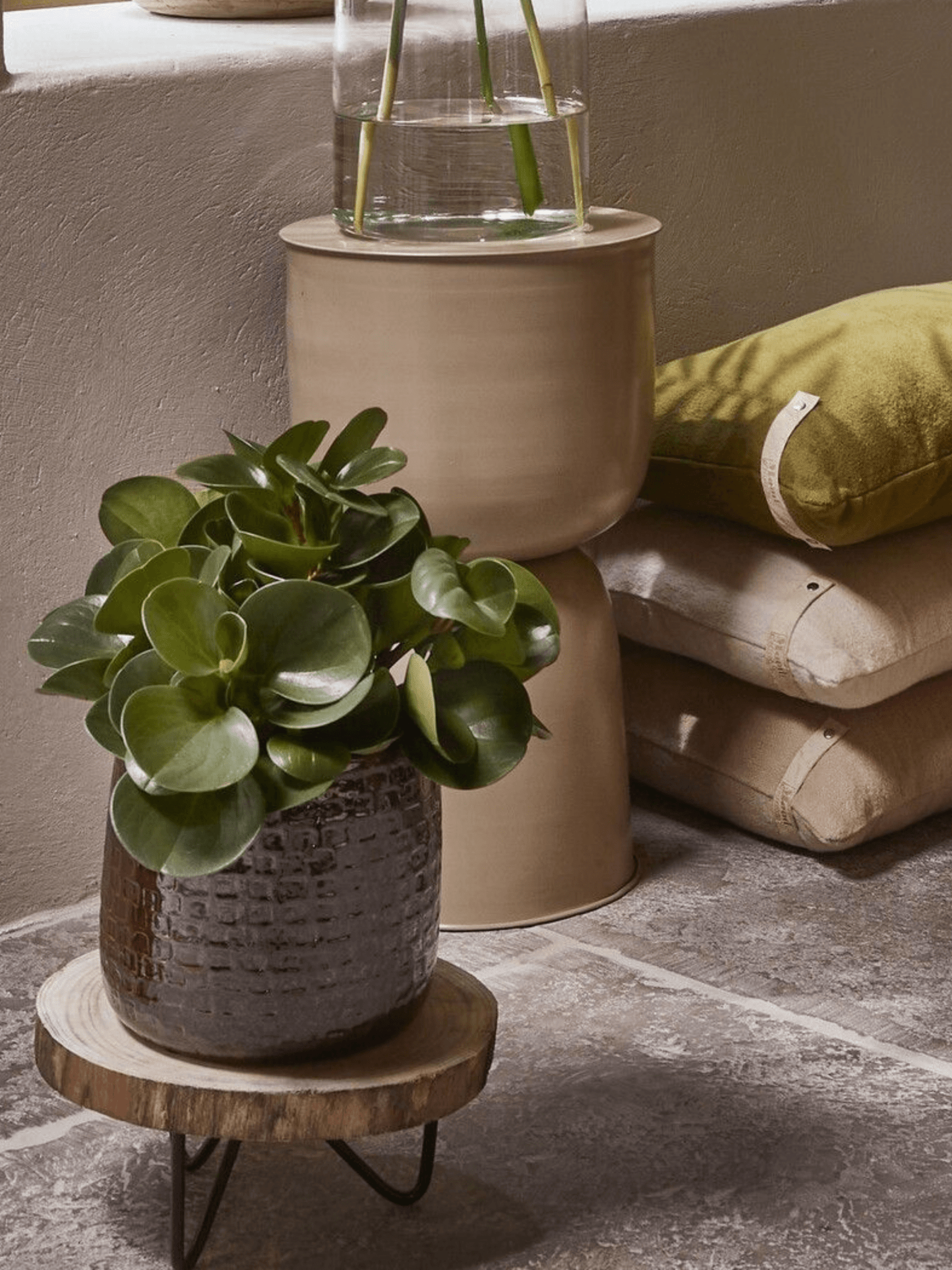 Pia_Wood_Plant_Stand_D29cm