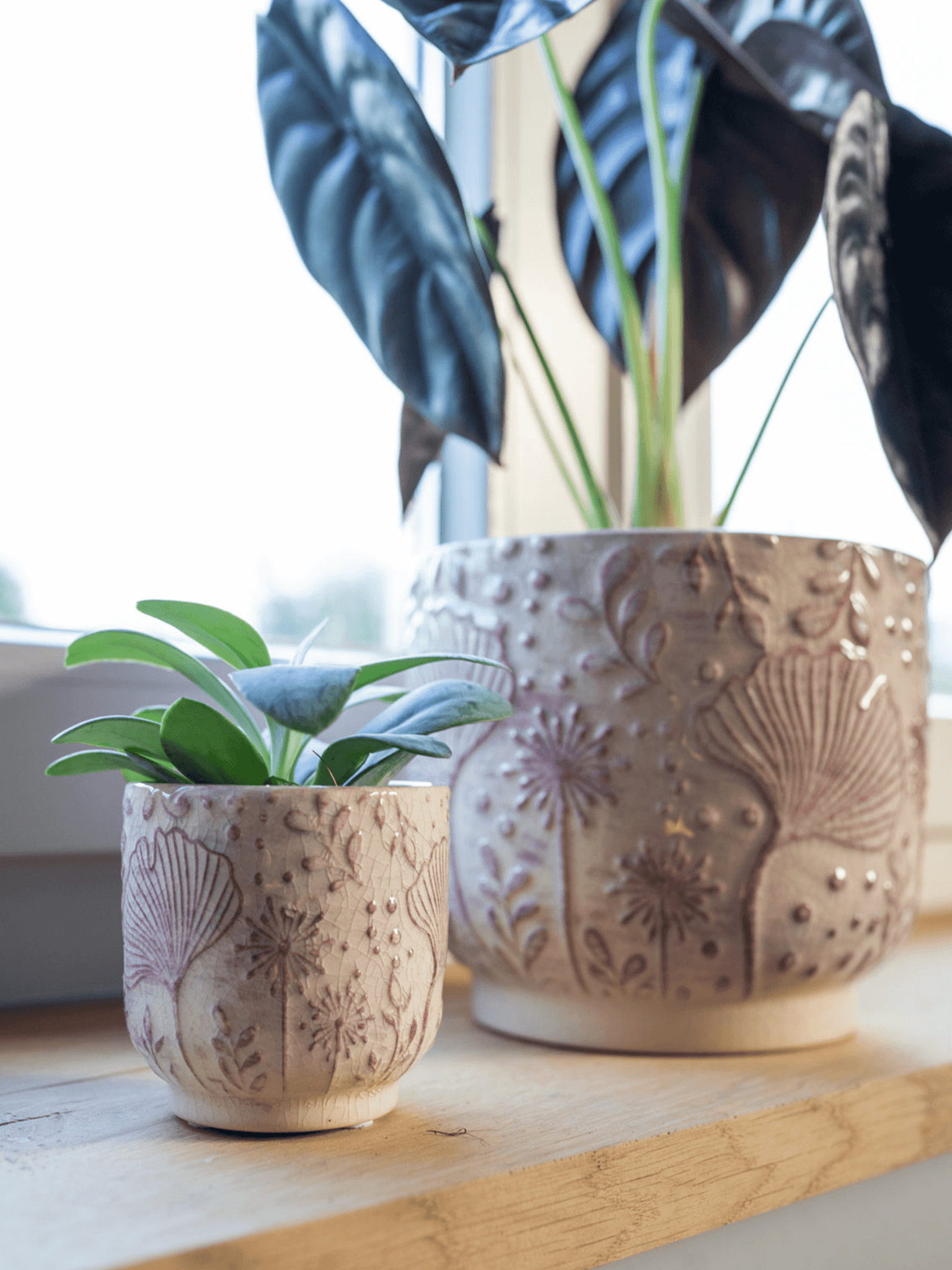 Pink Ceramic Plant Pot Emilia - 14cm - 19cm - Indoor Plant Pot