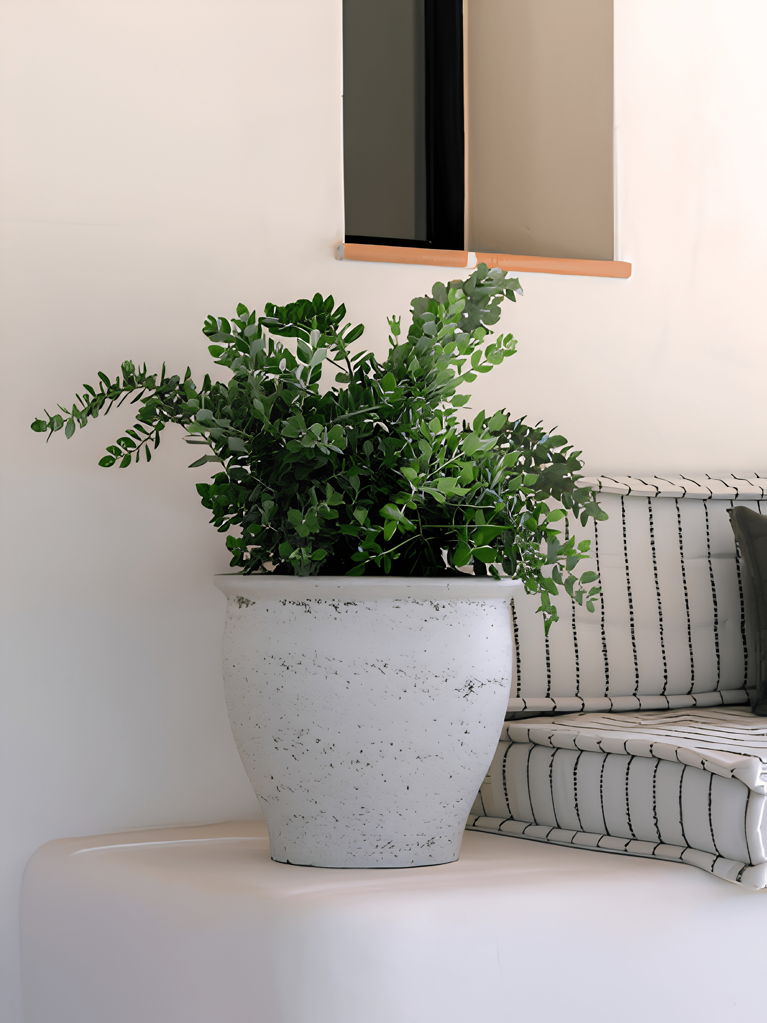 Poseidon Mediterranean Plant Pot – Chalk White - Rebel Plants
