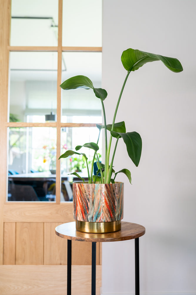 Celia Blush, Gold Metal Indoor plant pots