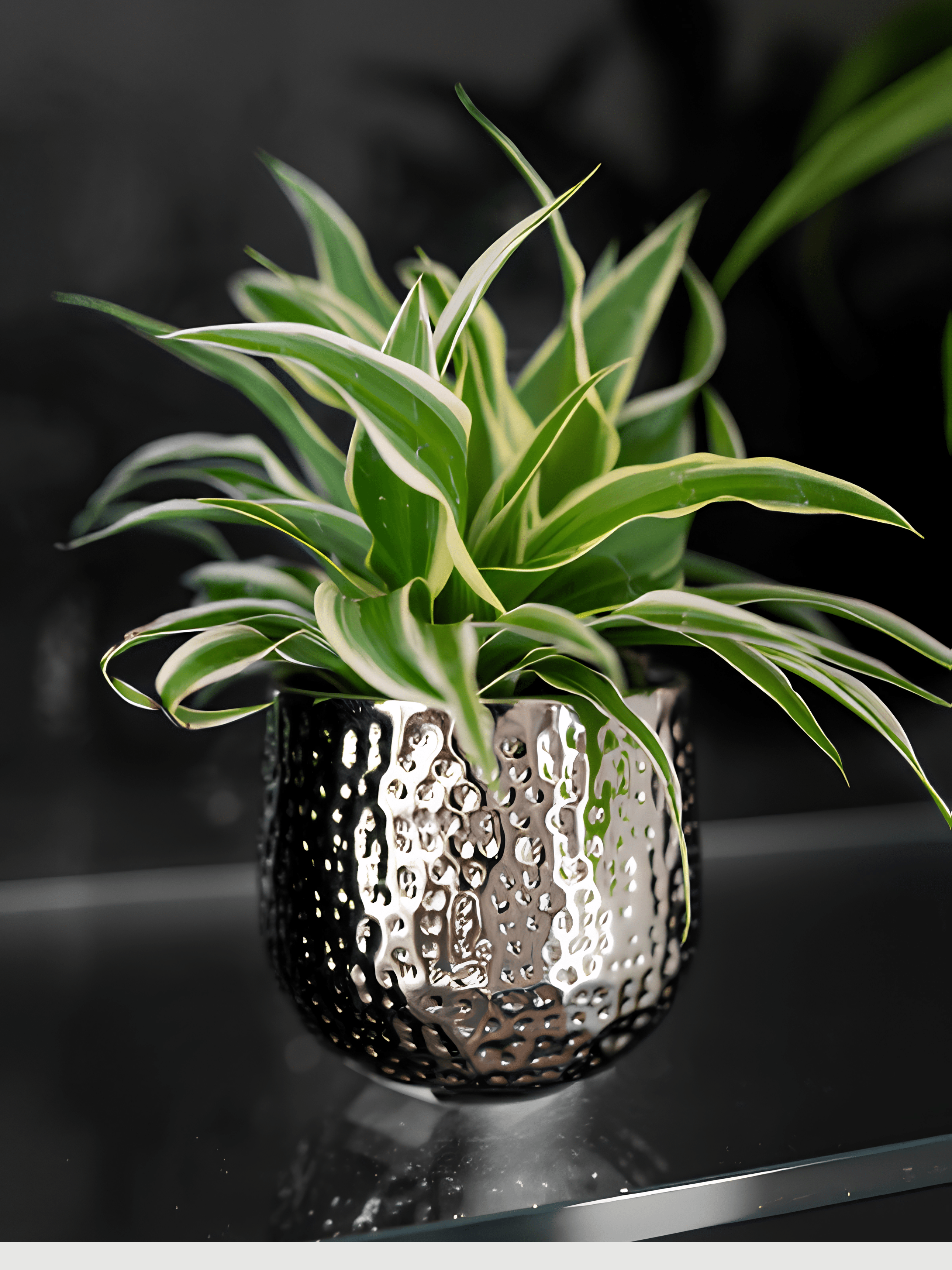 Ribbed Metal Plant Pot Silver, Kristy, In Multiple Sizes - Rebel Plants
