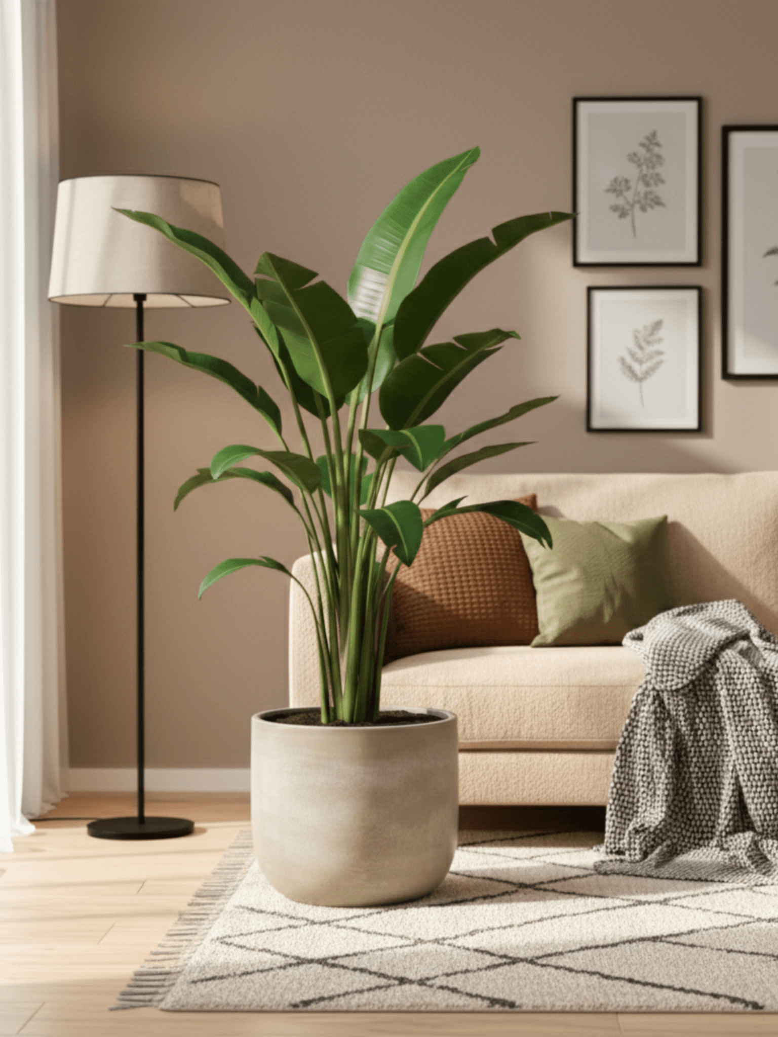 Sevilla_Ceramic_Indoor_Plant_Pots_Off_White_Houseplant_Pot_Multiple_Sizes