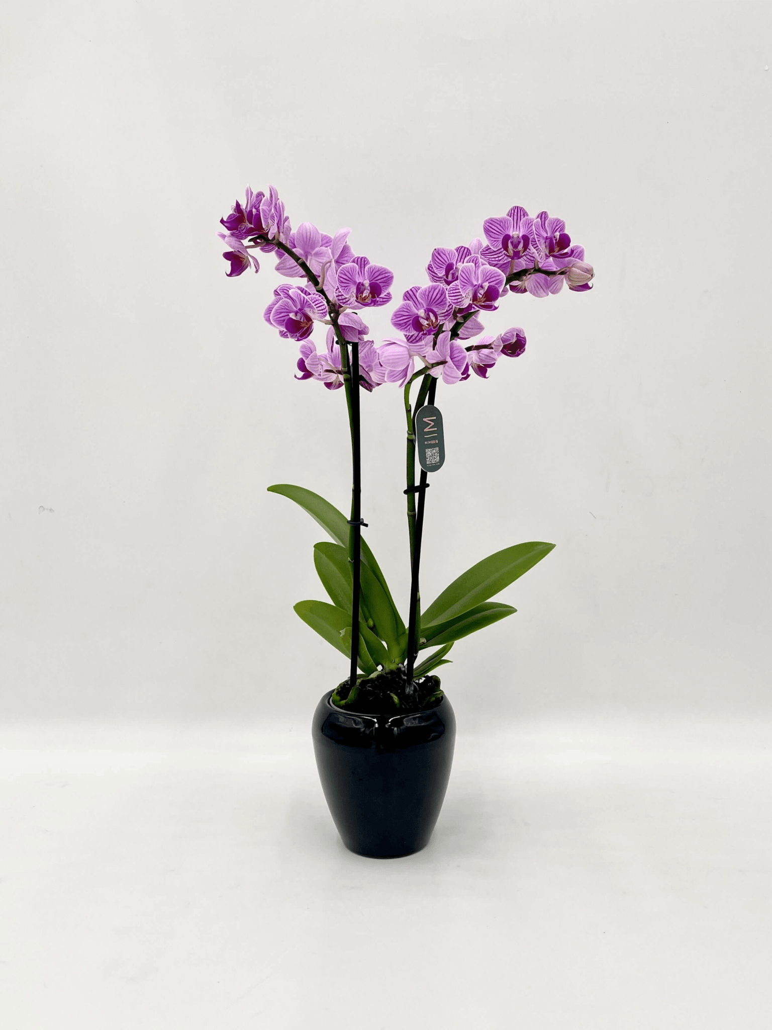 Small_Black_Ceramic_Pot_-_D9cm