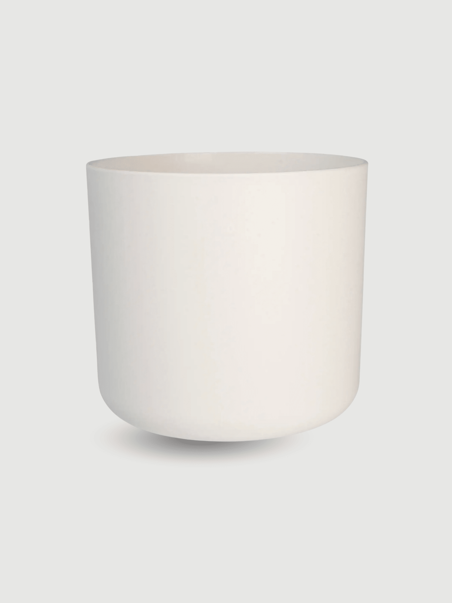 The Unkillable Houseplant Bundle | Beginner-Friendly Trio