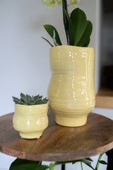 Veerle Ceramic Plant Pot, Yellow, D15 cm