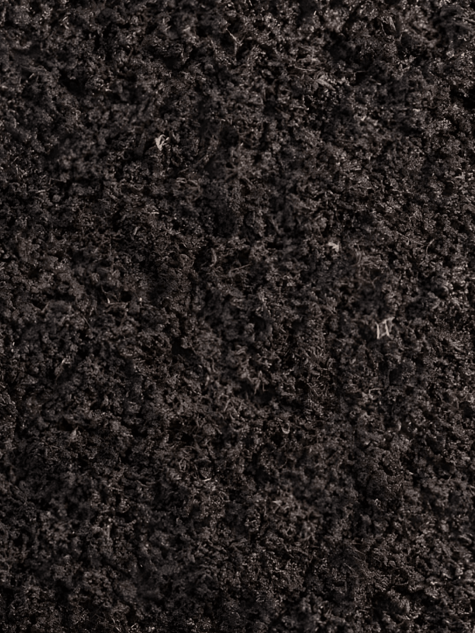  View details for Worm Manure Castings Worm Manure Castings