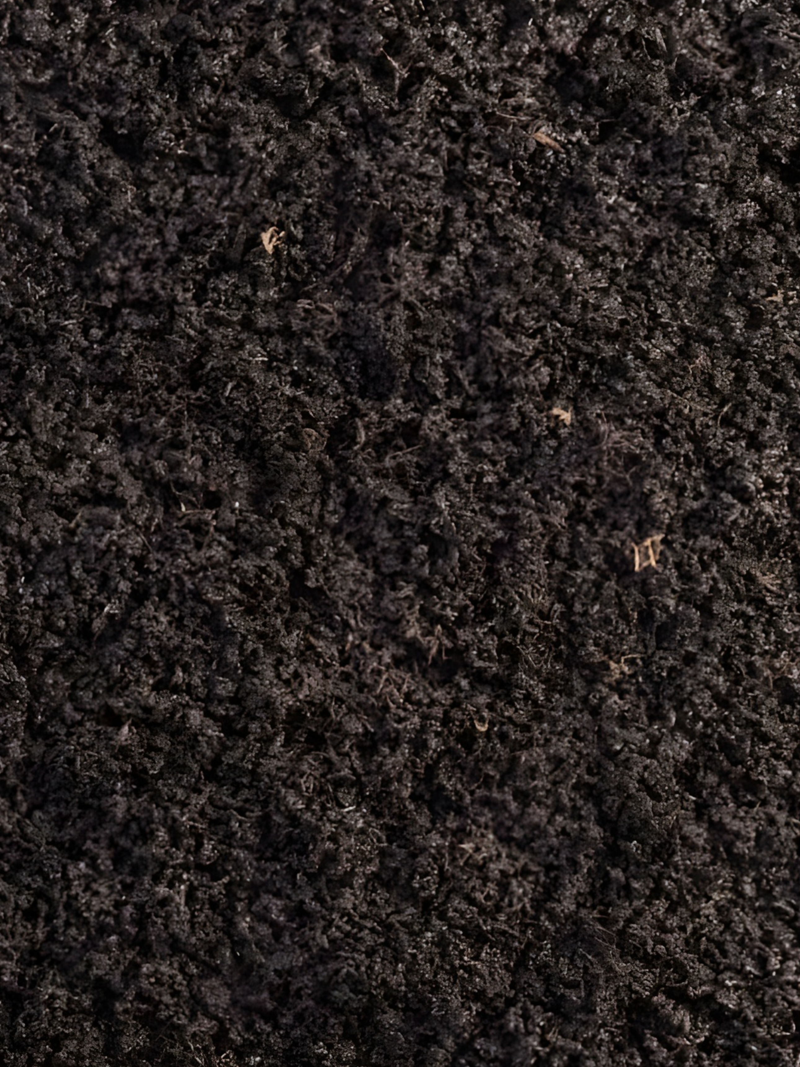 Worm Manure Castings