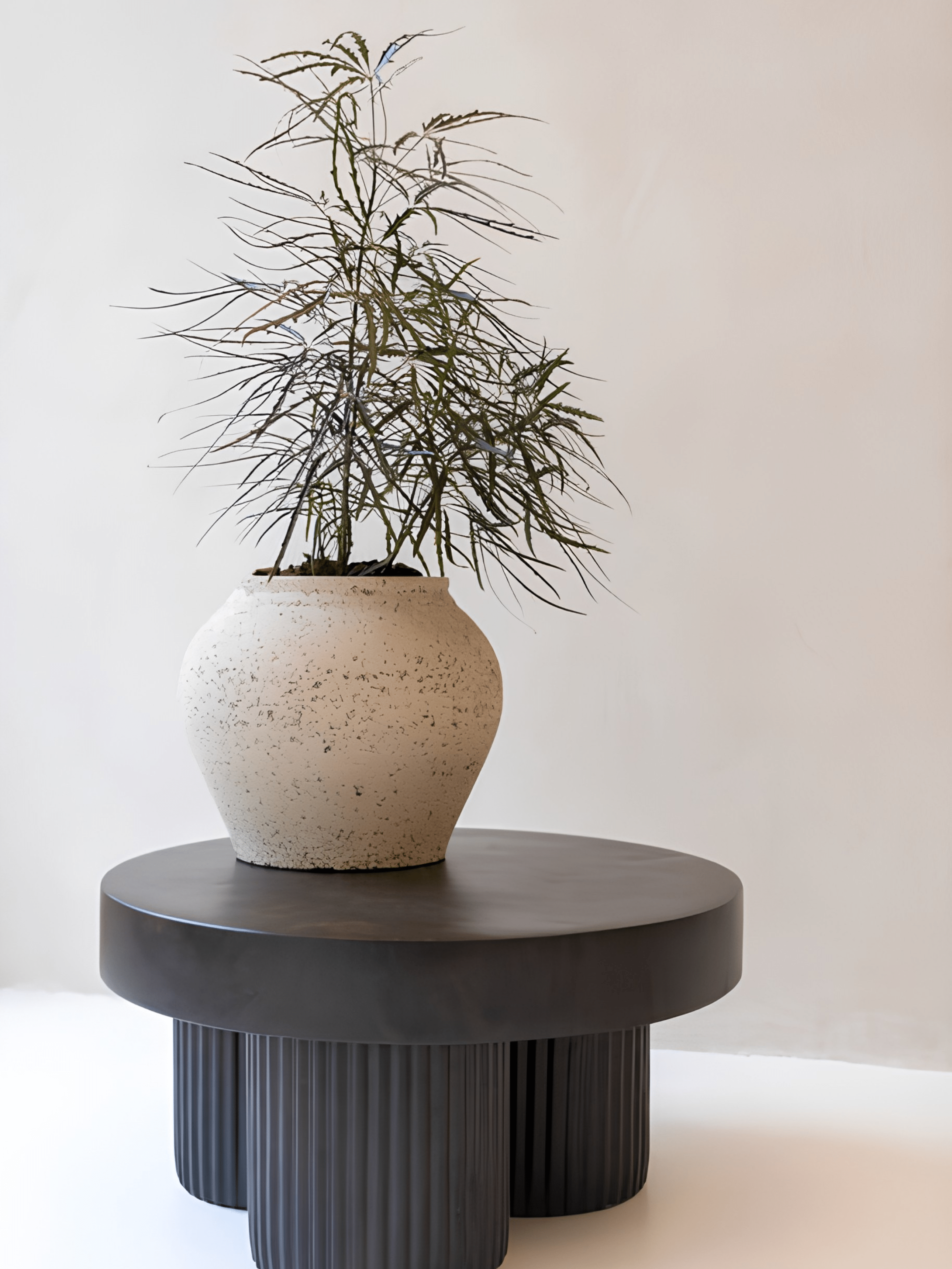 Zeus Plant Pot, Chalk White, Indoor & Outdoor Mediterranean Collection - Rebel Plants