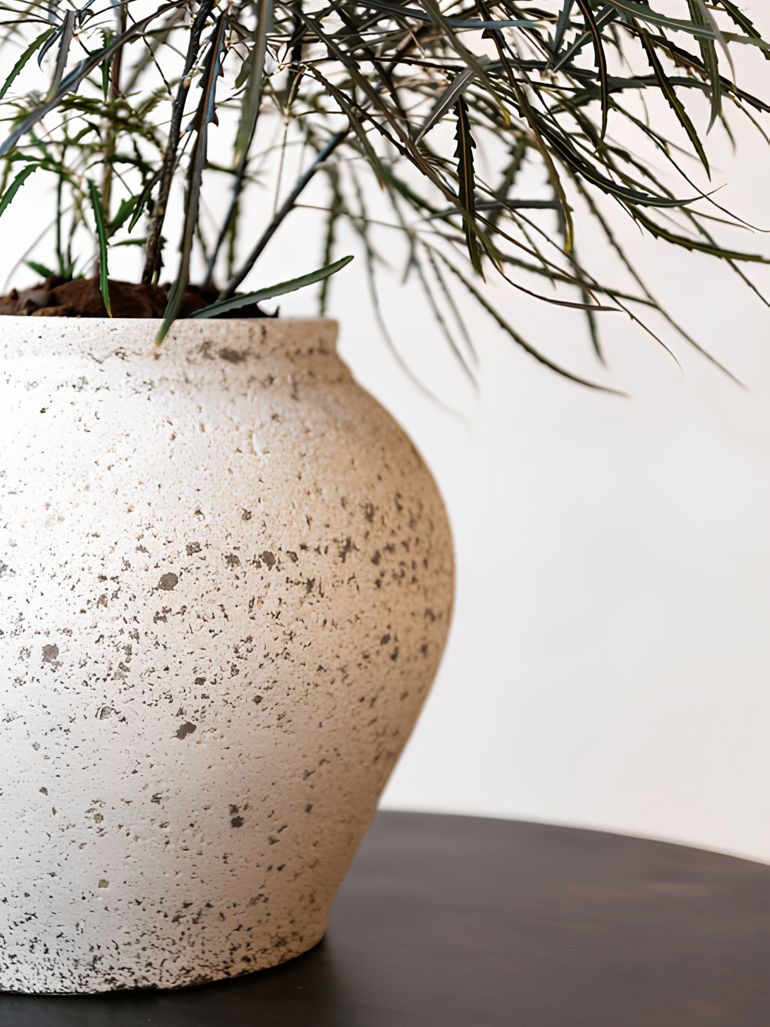 Large Mediterranean Planter Zeus in chalk white, featuring a plant inside, suitable for indoor and outdoor use.