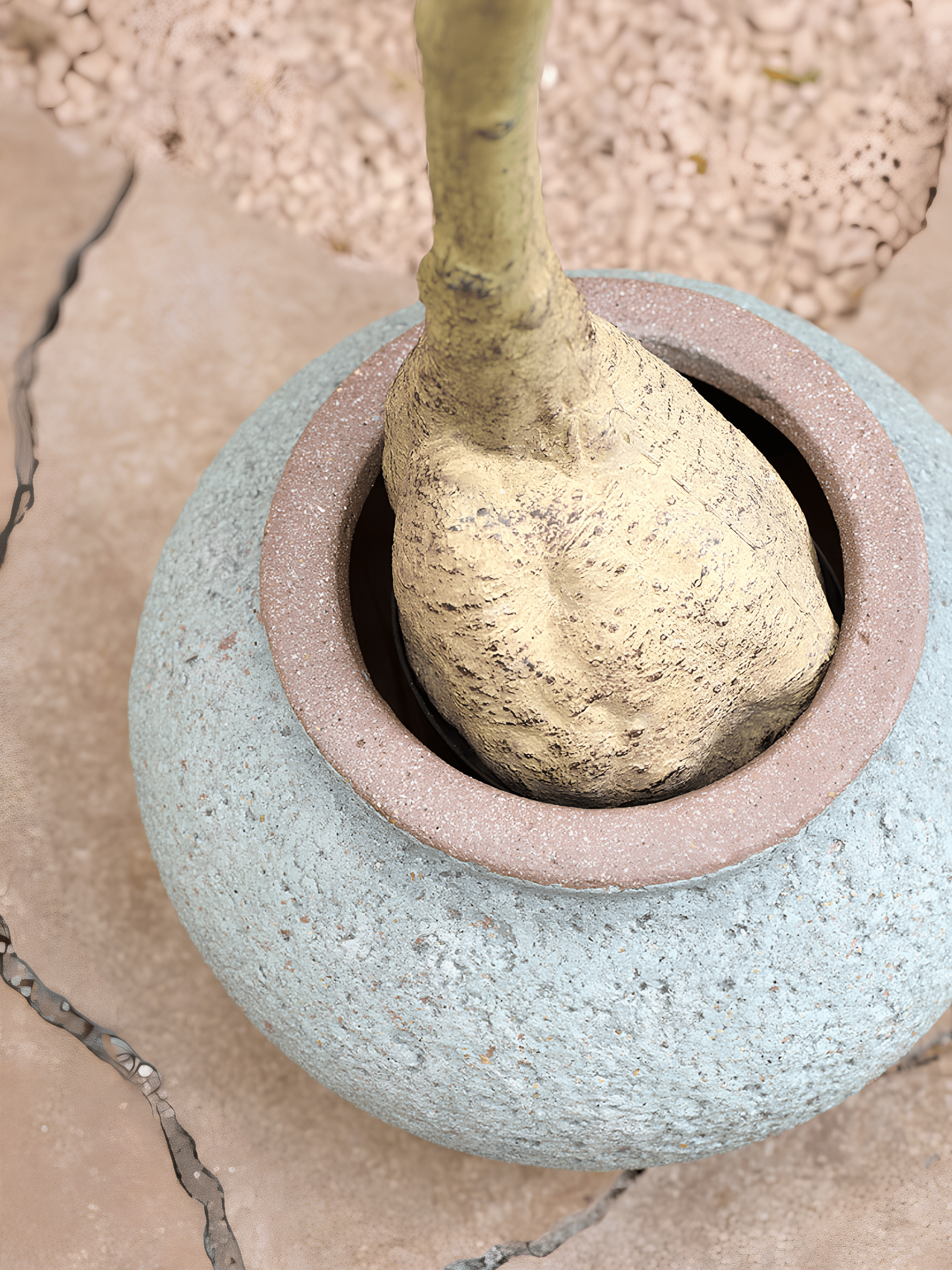 Zeus Plant Pot, Rustic Green, Indoor & Outdoor Mediterranean Collection - Rebel Plants