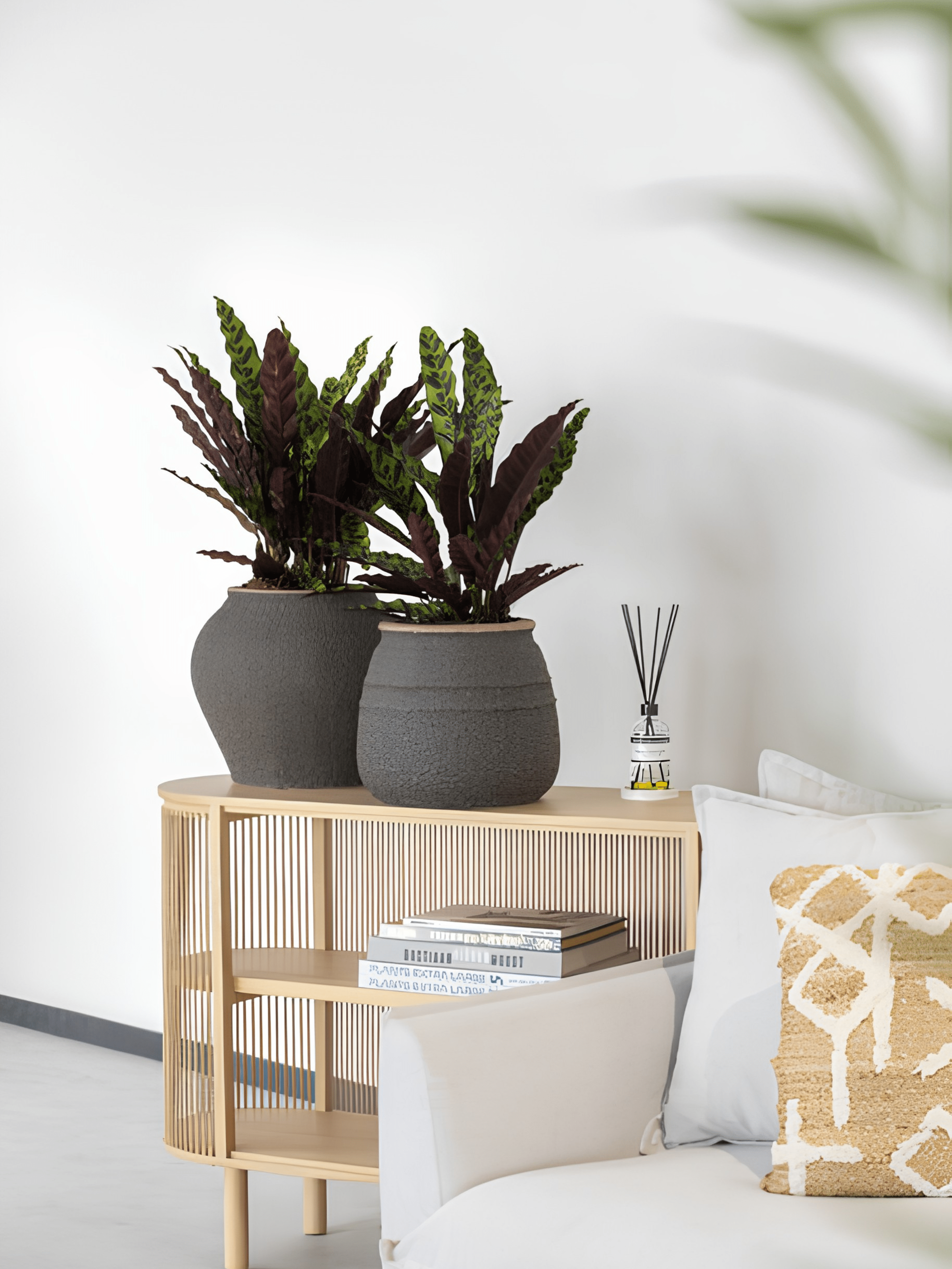 Zeus Plant Pot, Umber Brown, Indoor & Outdoor Mediterranean Collection - Rebel Plants