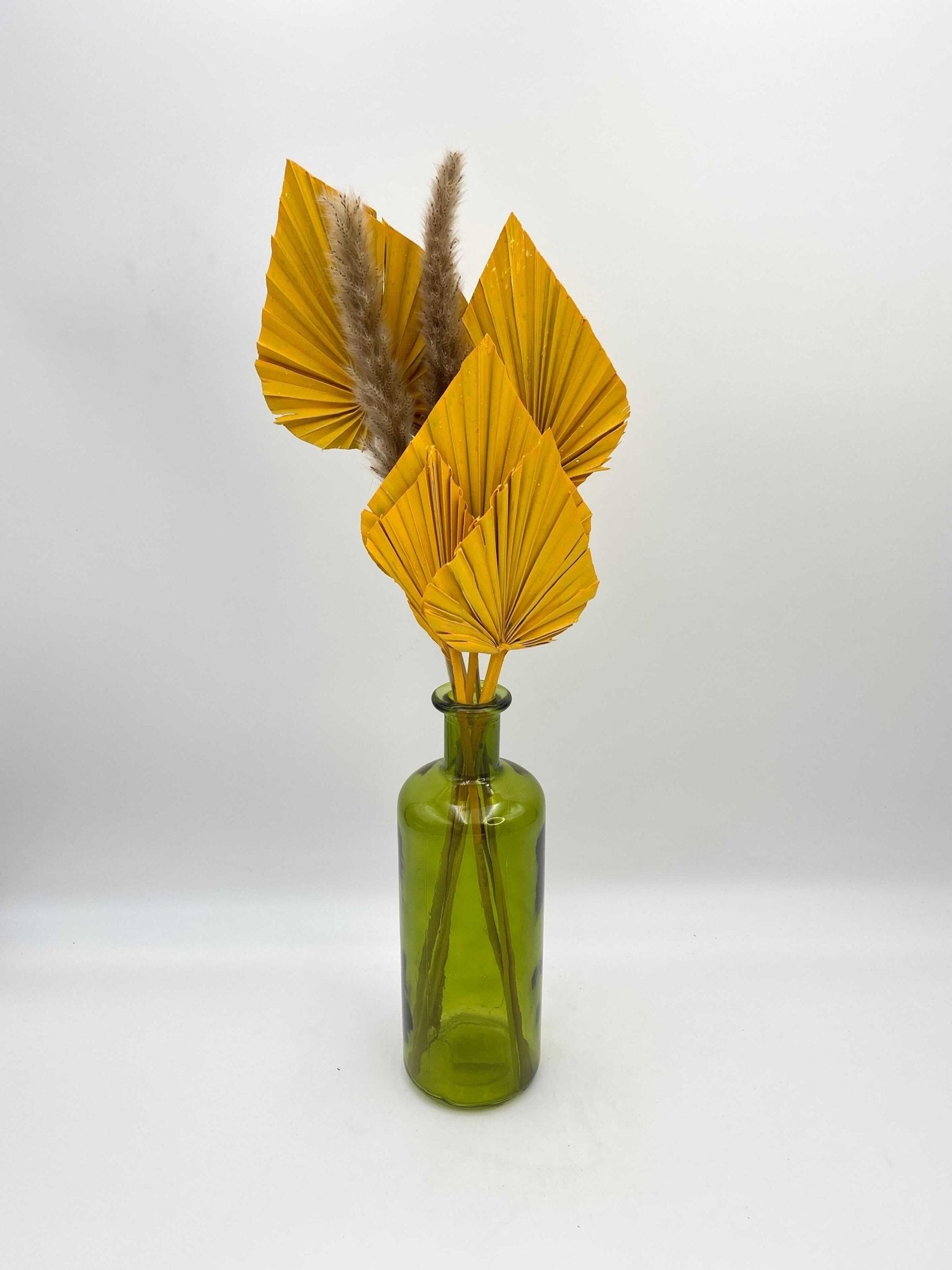 3 x Dried Palm Spear