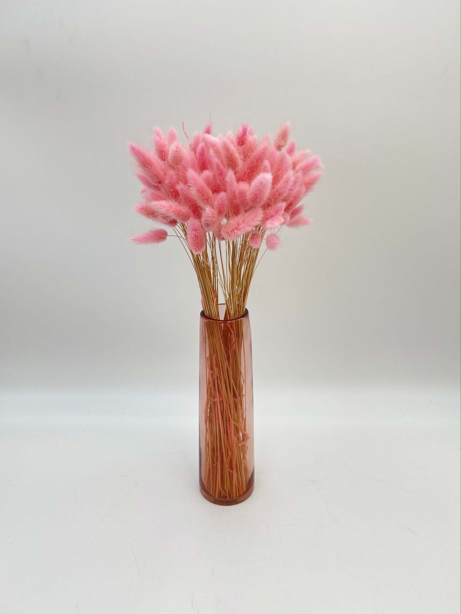 Dried Lagurus Grass, Light Pink, Bunny Tail Grass