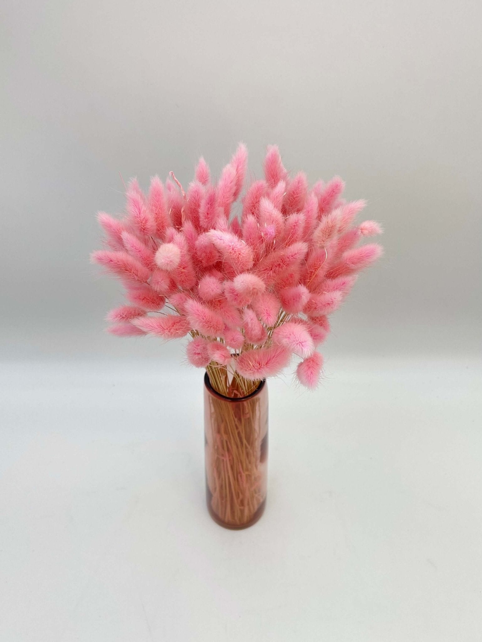 Dried Lagurus Grass, Light Pink, Bunny Tail Grass