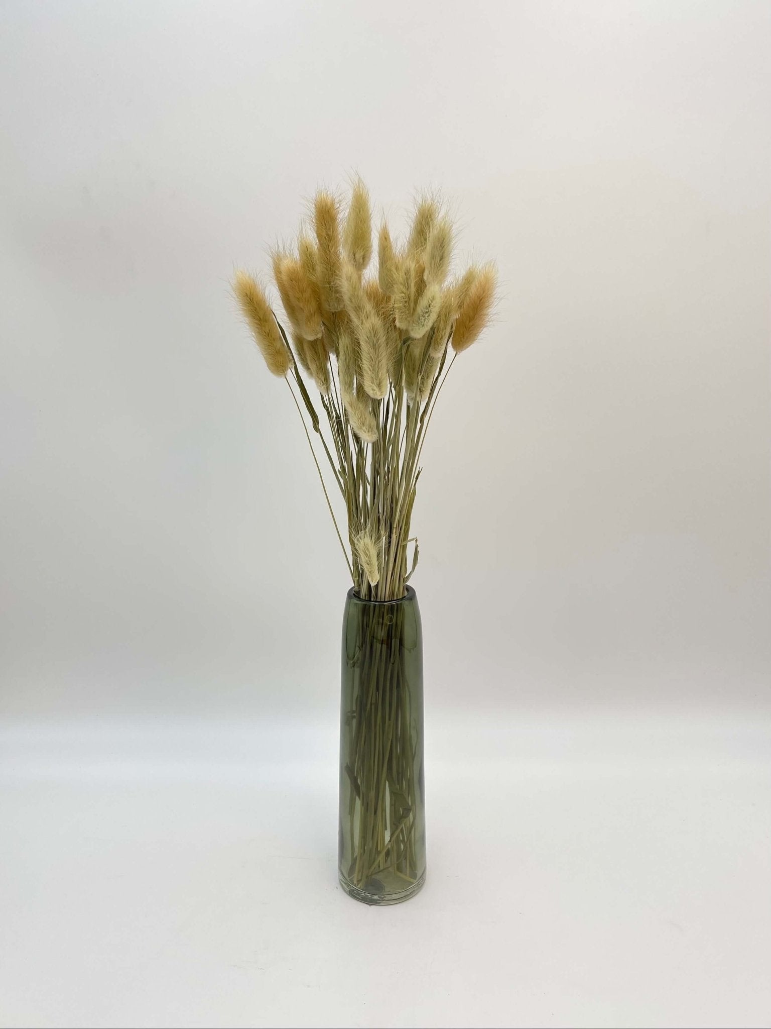Dried Lagurus Grass, Natural Colour, Bunny Tail Grass