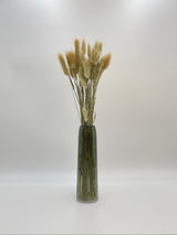 Dried Lagurus Grass, Natural Colour