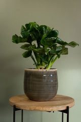 Iris Ceramic Pot, Moss Green, D21cm