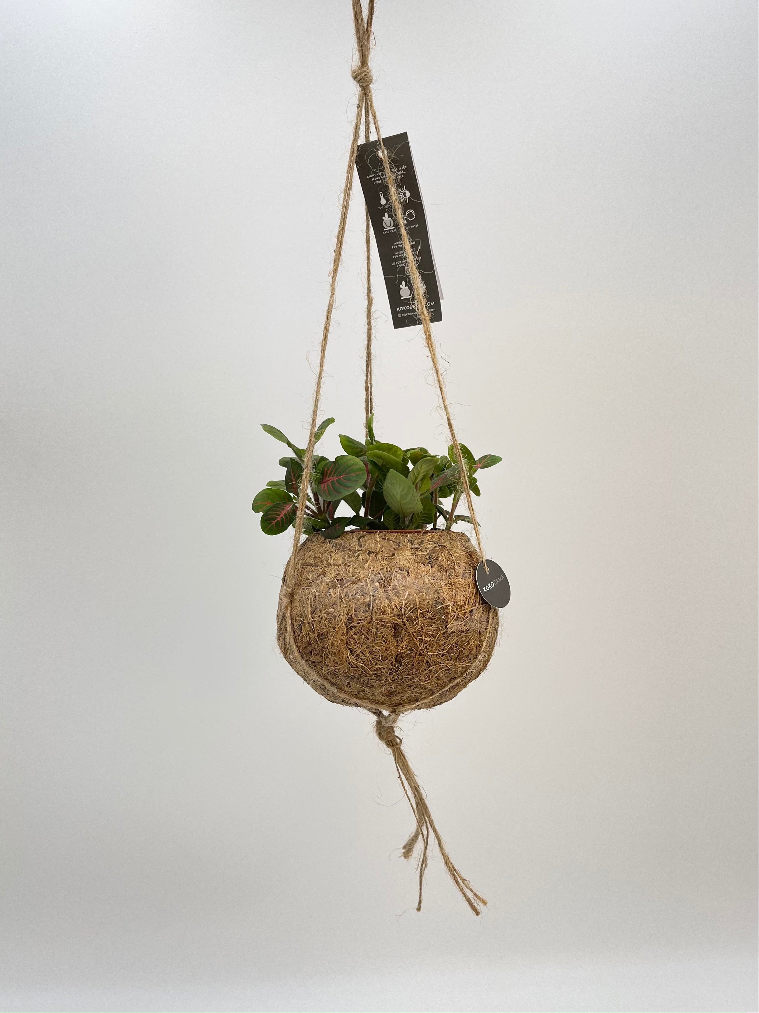 Kokedama Hanging Plant Pots, Coconut Fibre