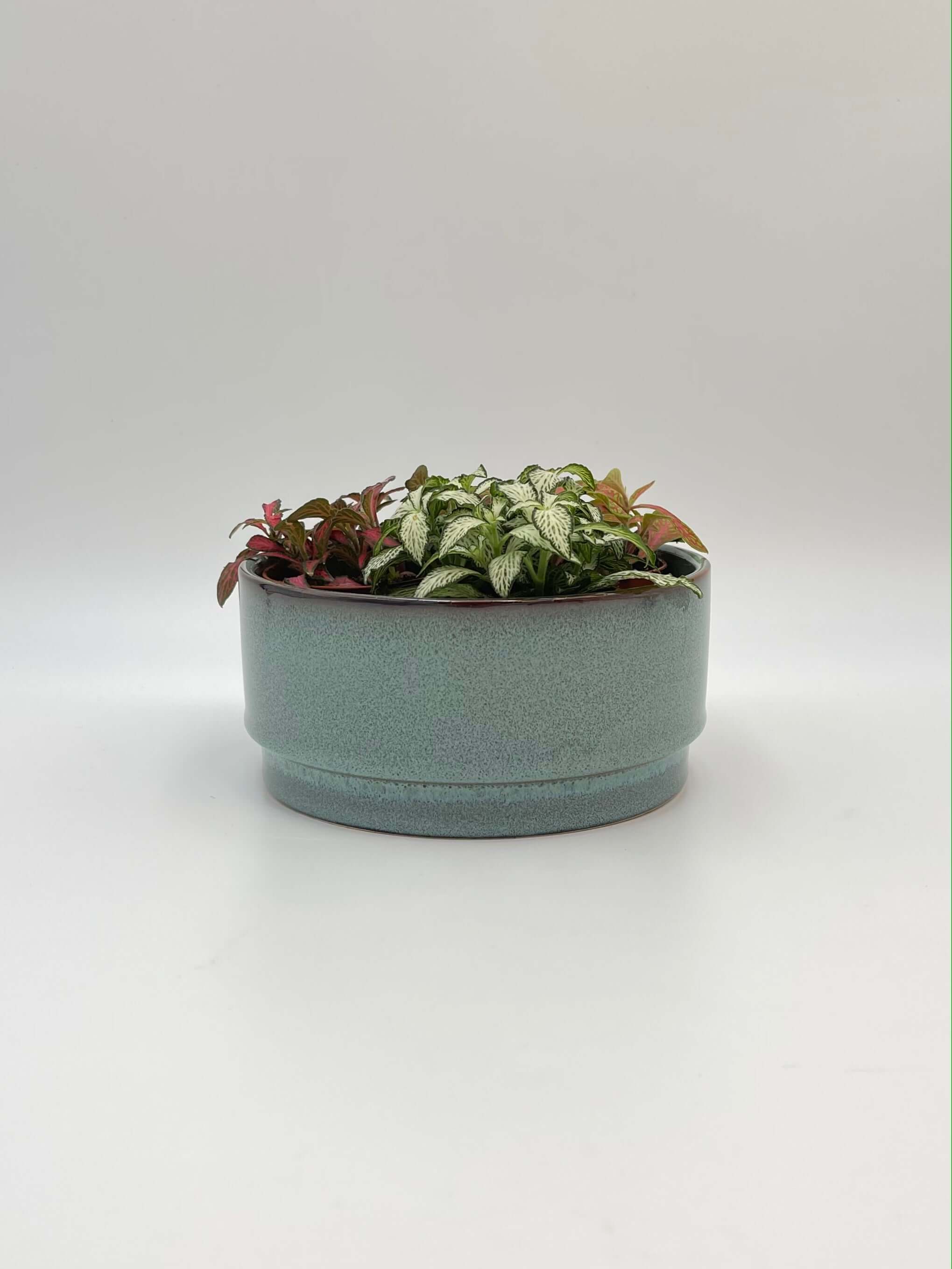 Ocean Ceramic Plant Bowl, Green, D18cm