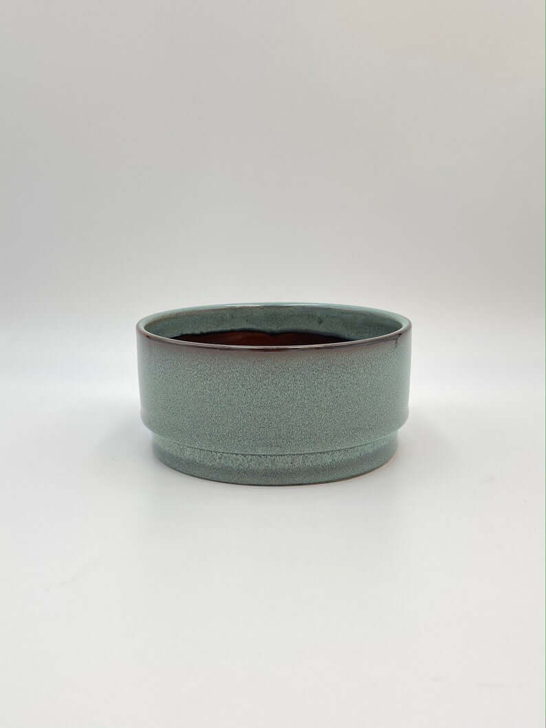 Ocean Ceramic Plant Bowl, Green, D18cm