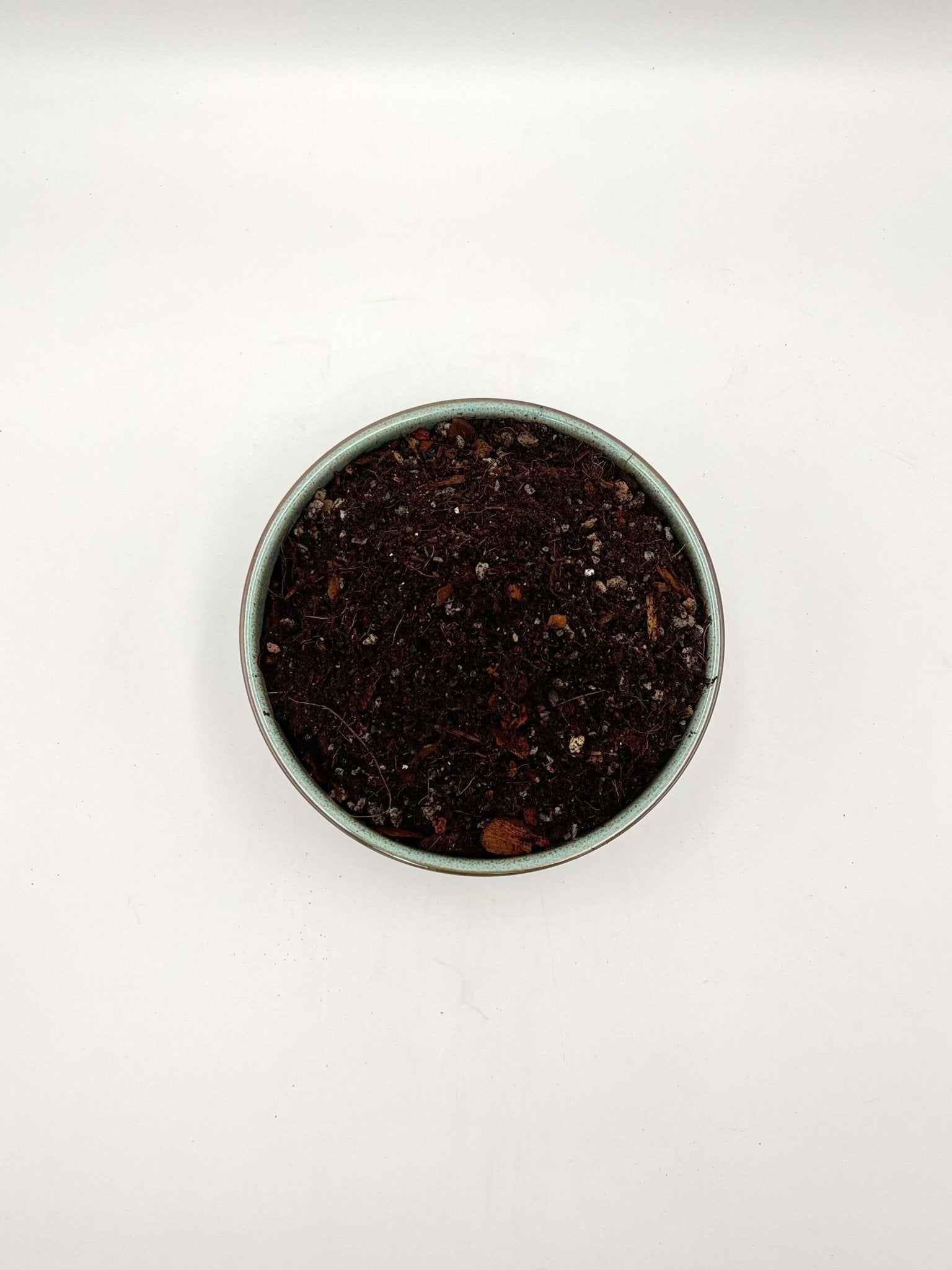 Premium Alocasia Potting Soil Mix