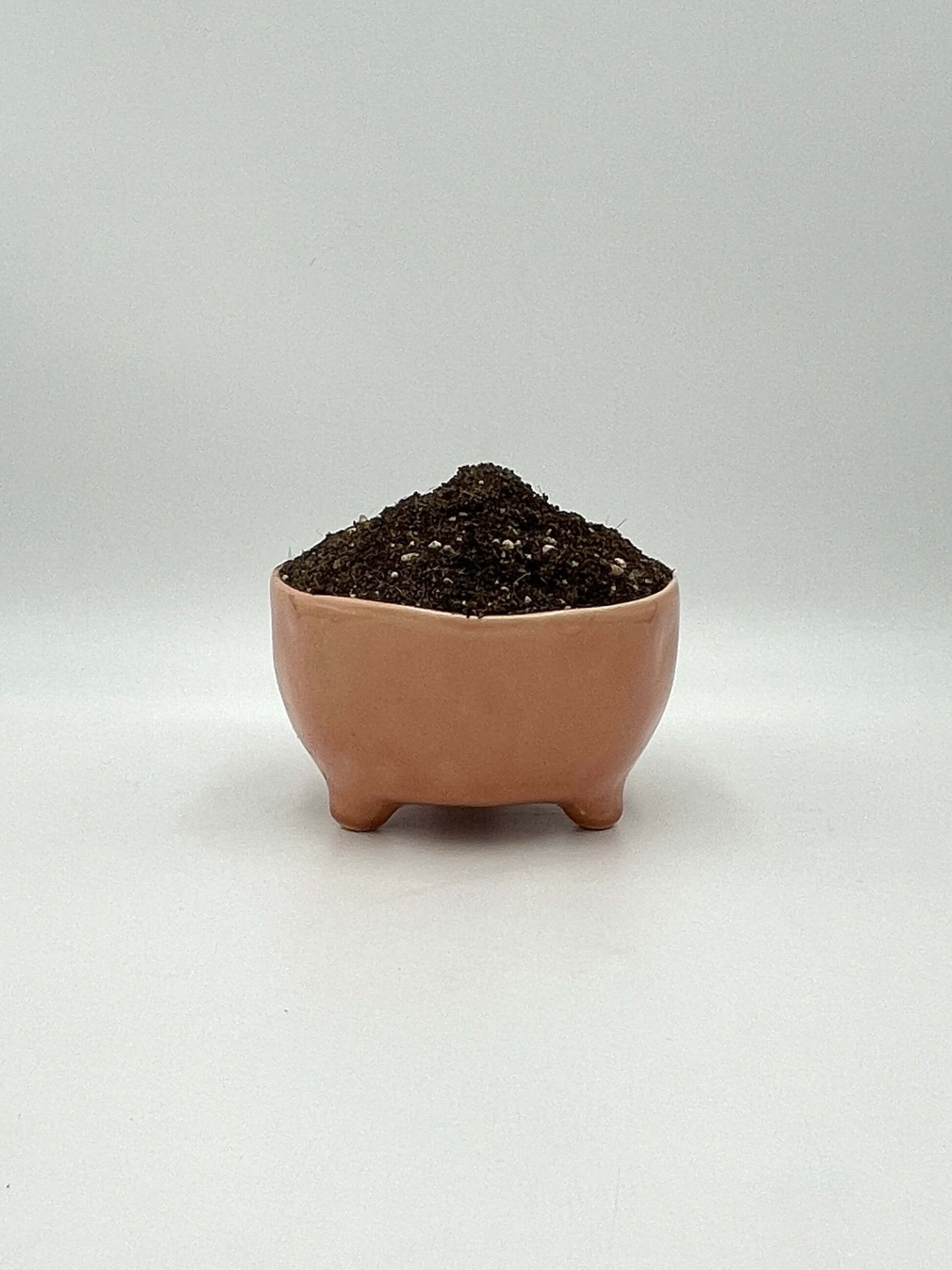 Premium Cacti & Succulent Potting Soil Mix