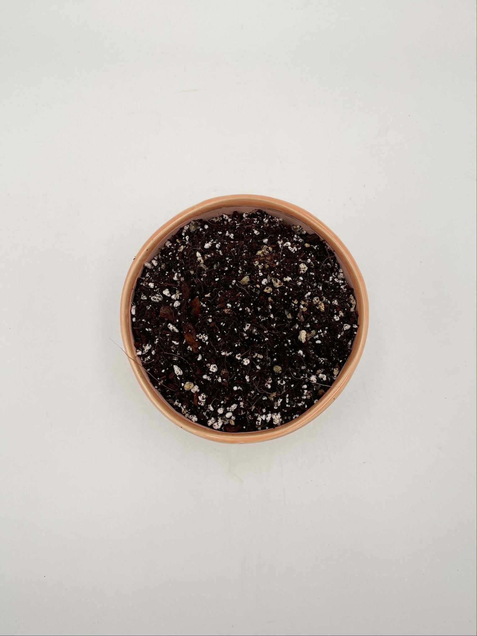 Premium Calathea & Maranta Potting Soil Mix