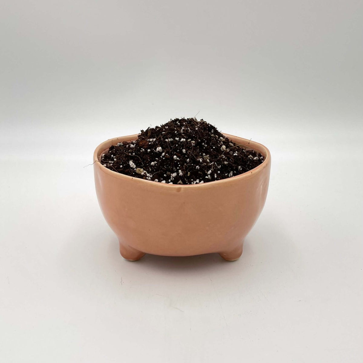 Premium Calathea & Maranta Potting Soil Mix