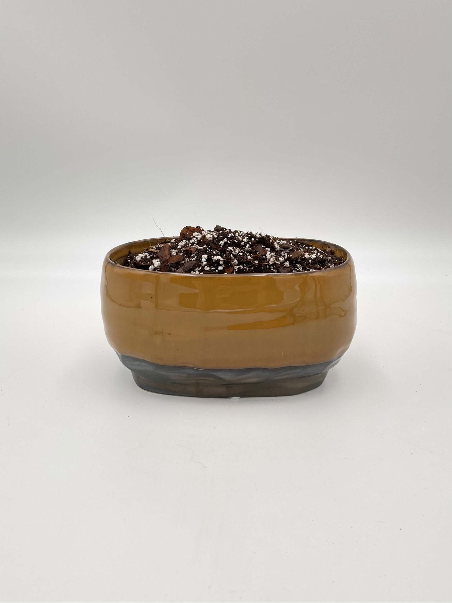 Premium Monstera & Philodendron Potting Soil Mix