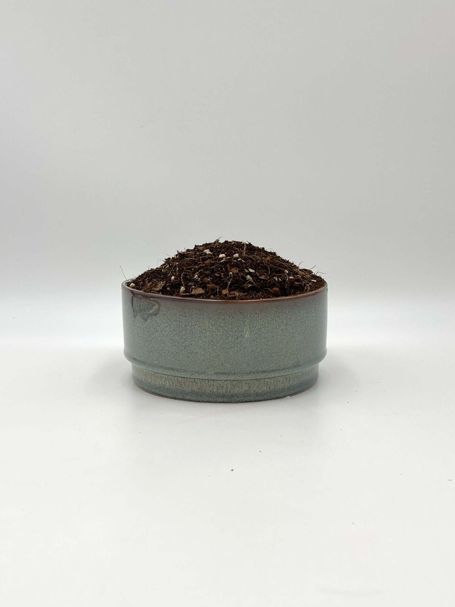 syngonium potting mix Premium Syngonium Potting Soil Mix