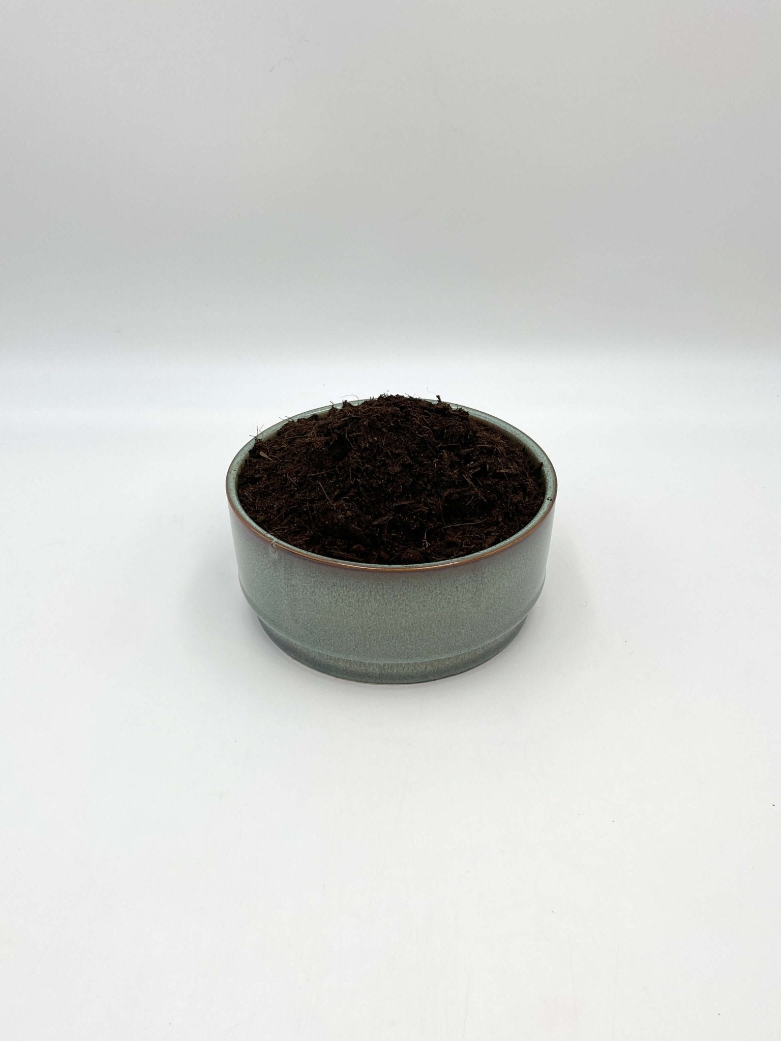 Terrarium Soil Mix