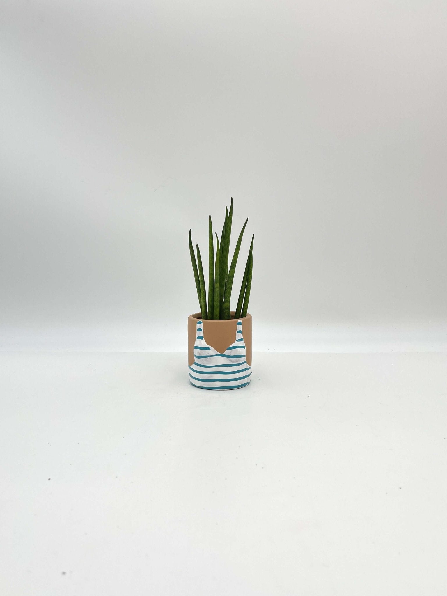 Sunshine Babes Plant Pot, D6cm