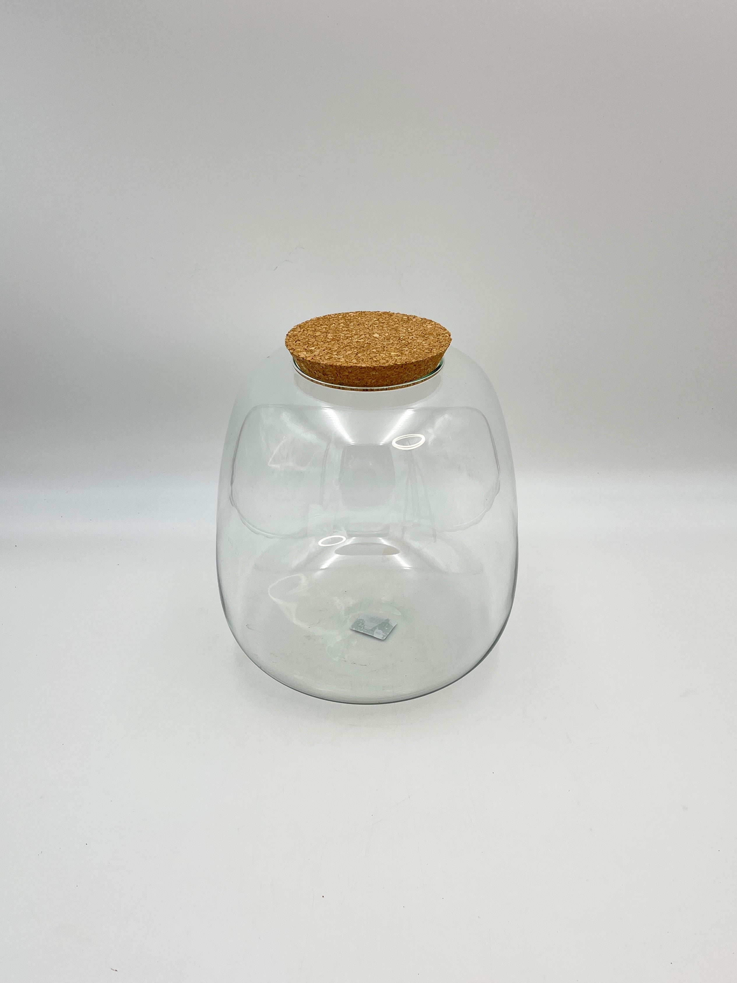 Terrarium Vase with Cork, Ø23 H25